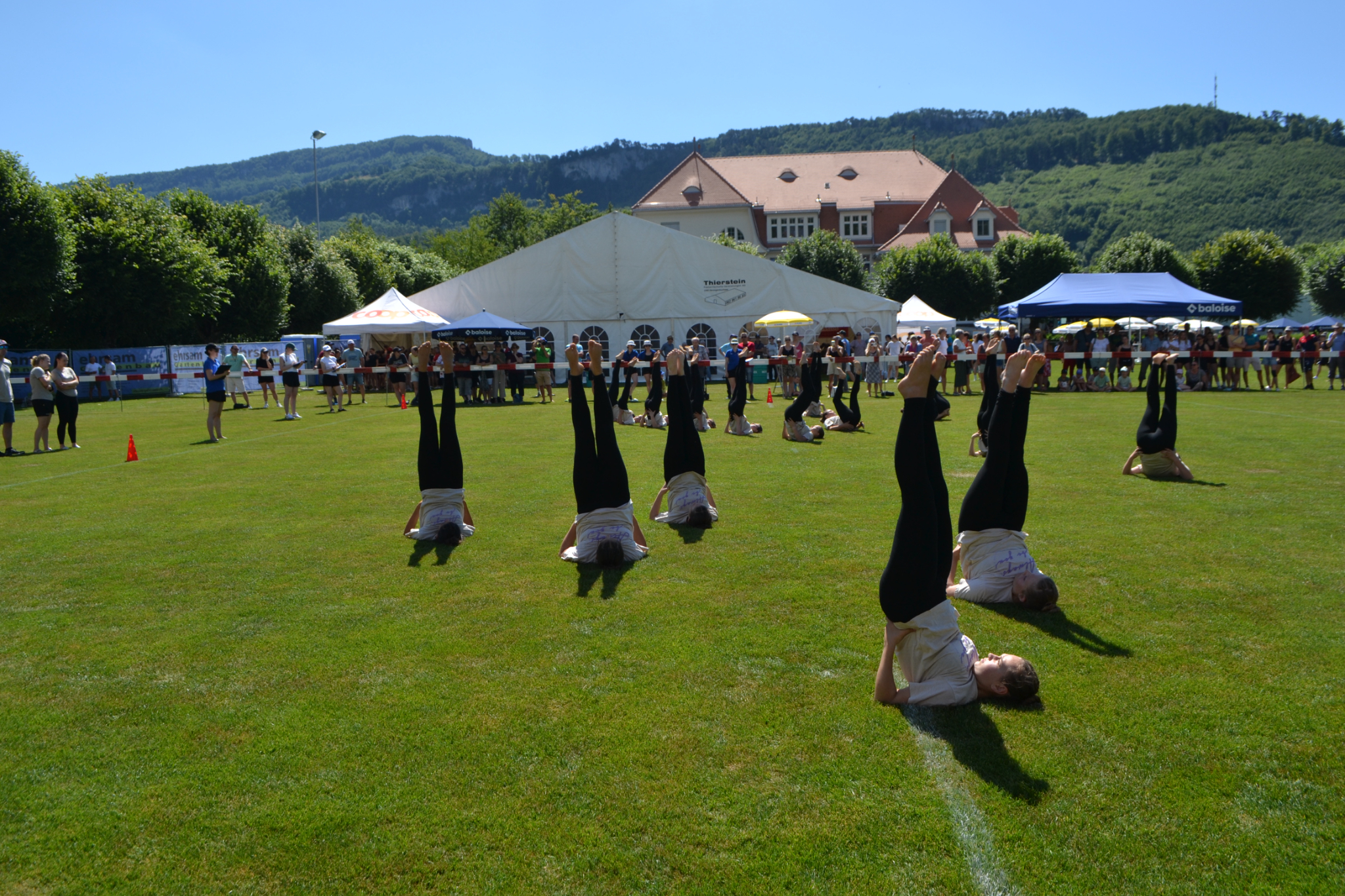 Bild (5)